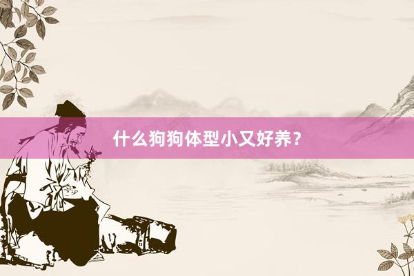 什么狗狗体型小又好养？